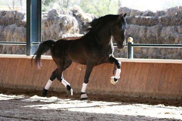 Photo de profil de guymarie08