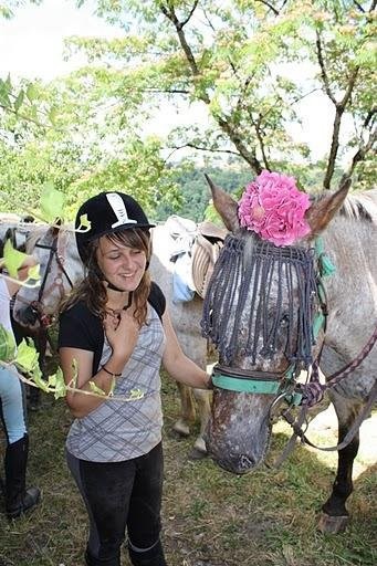 Photo de profil de gwenne31