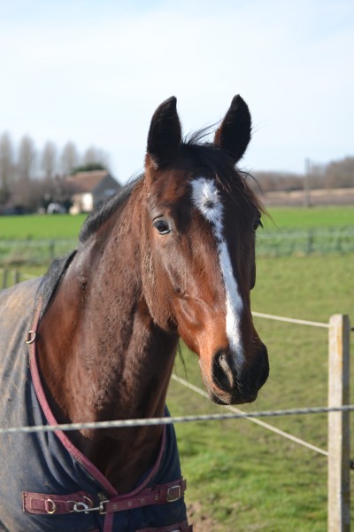 Photo de profil de hagennina