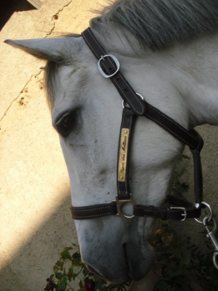 Photo de profil de hanmere