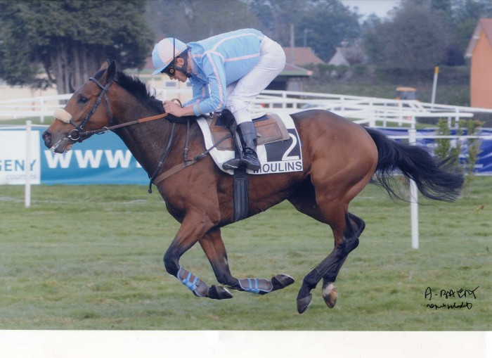 Photo de profil de harasygrande