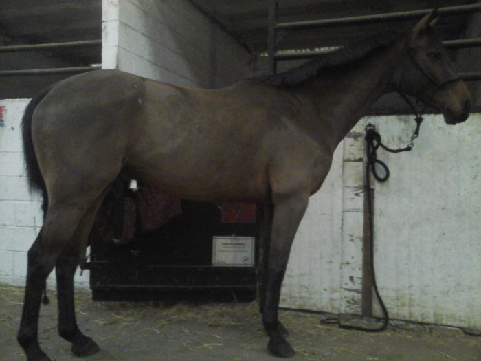 Photo de profil de heasy