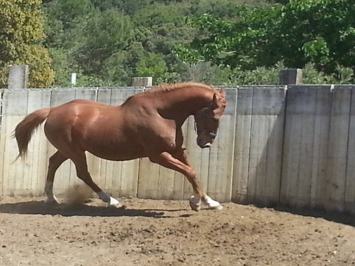 Photo de profil de hector30