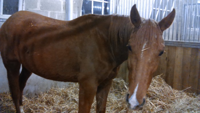 Photo de profil de hervandre