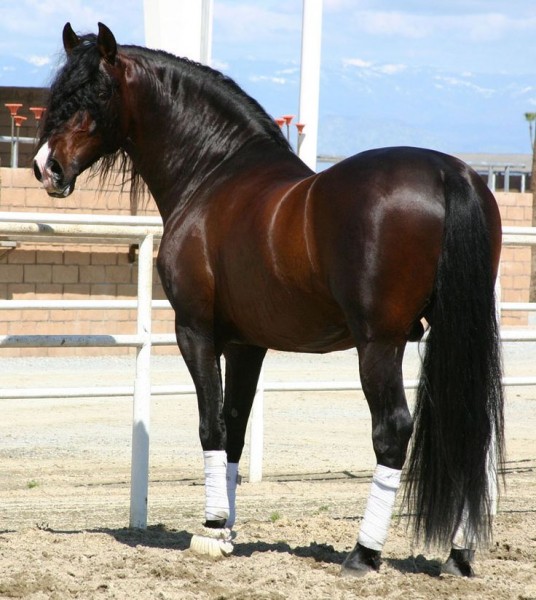 Photo de profil de heylady