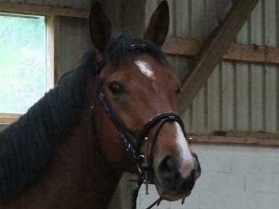 Photo de profil de horjeubagdad