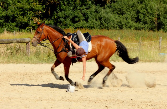 Photo de profil de horsballeuse