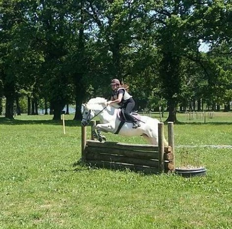 Photo de profil de horse_equit