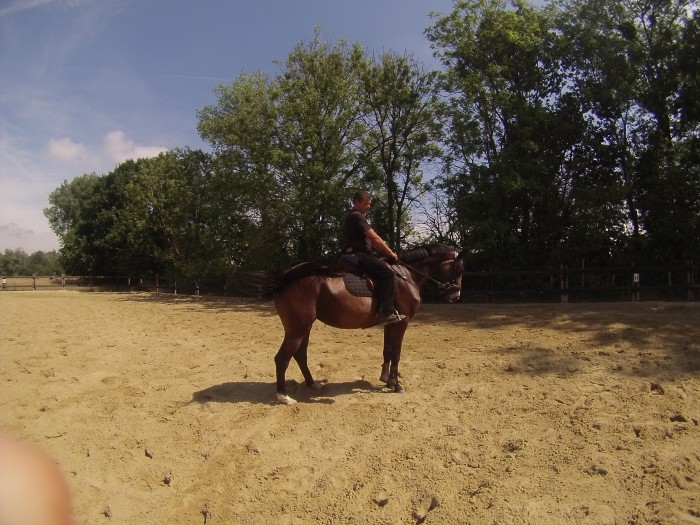 Photo de profil de horsejim