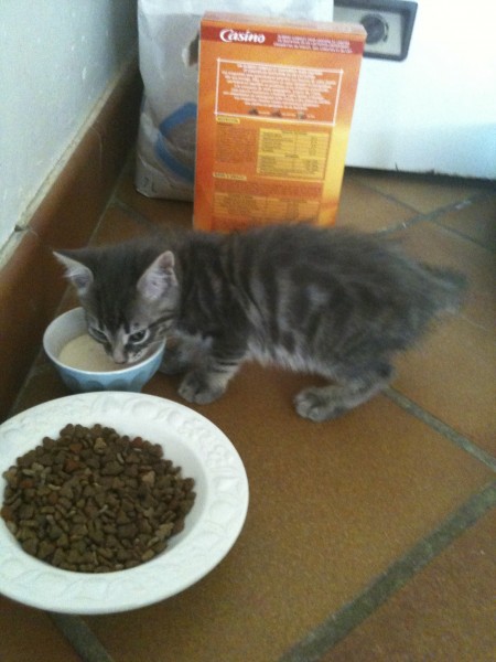 Photo de profil de horsemimille