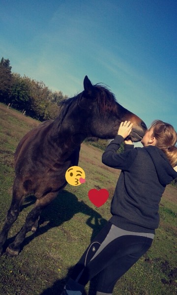 Photo de profil de horsepassion84