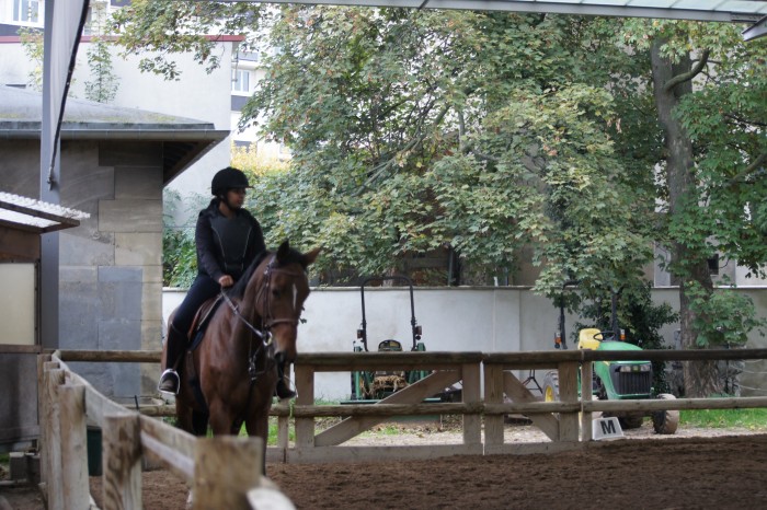 Photo de profil de horse_pxssion