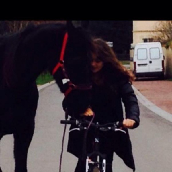 Photo de profil de horsesbaby