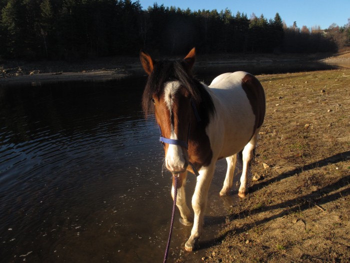 Photo de profil de hyperion