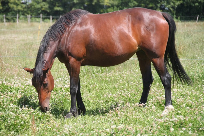 Photo de profil de iberiades