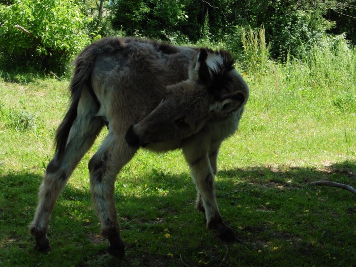 Photo de profil de ibouche