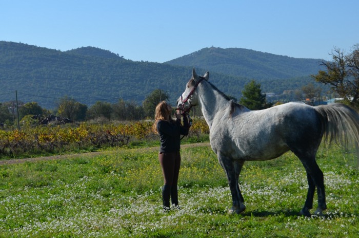 Photo de profil de idilica