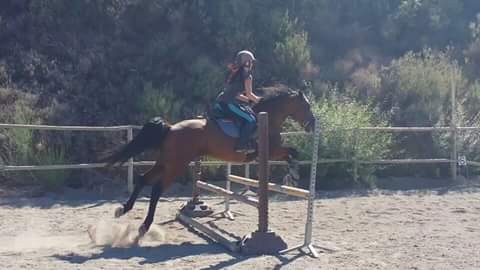 Photo de profil de ieial_el