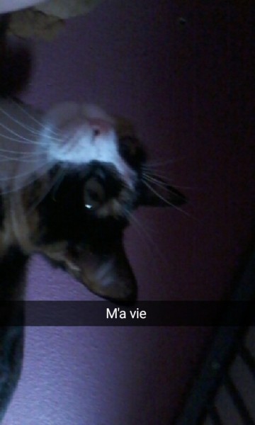 Photo de profil de iloveyousohorsy