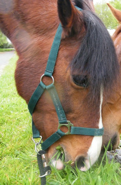 Photo de profil de imia.u