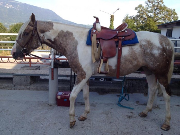 Photo de profil de inaqueen