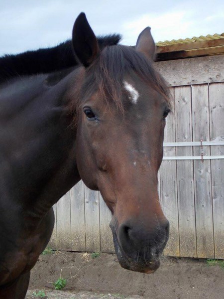 Photo de profil de itop
