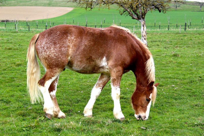 Photo de profil de itsy