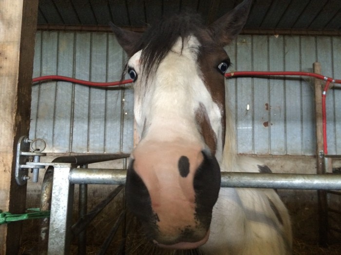 Photo de profil de jabberwockie
