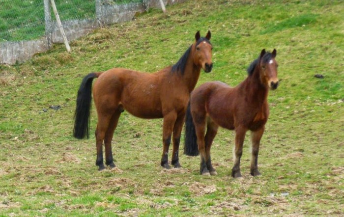 Photo de profil de jacknalx