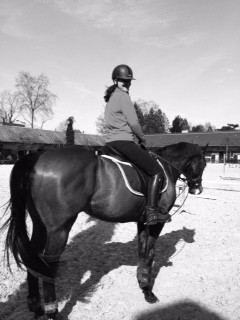 Photo de profil de jackyml