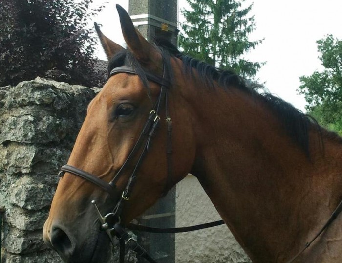 Photo de profil de jackytne
