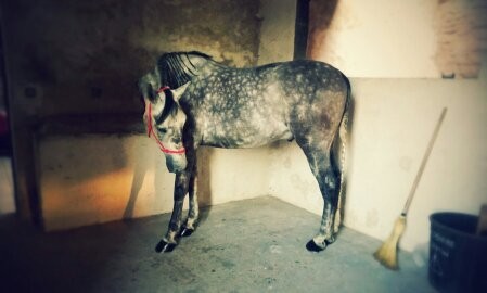 Photo de profil de jadedu60