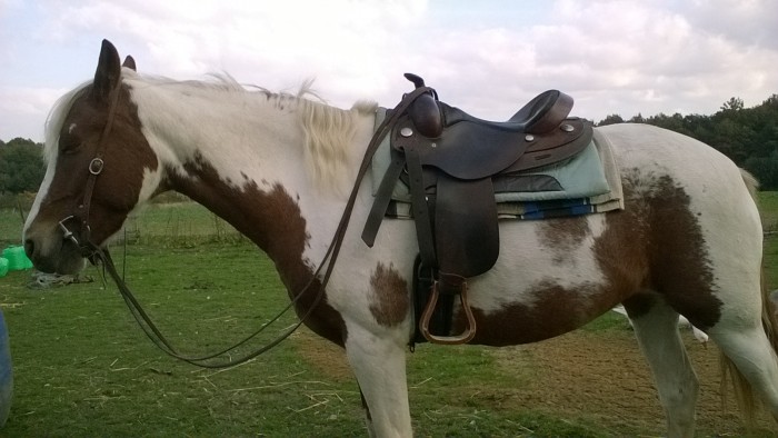 Photo de profil de jalylla