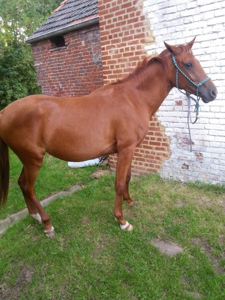 Photo de profil de jamella
