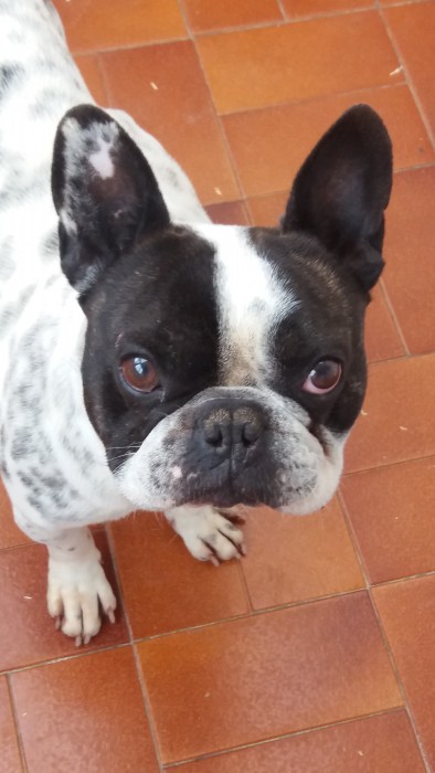 Photo de profil de jannehorse18