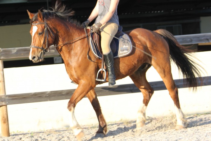 Photo de profil de javazo