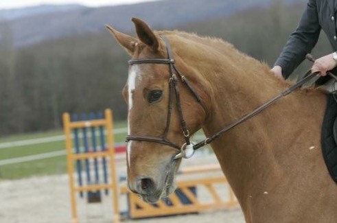 Photo de profil de jeannegbntf