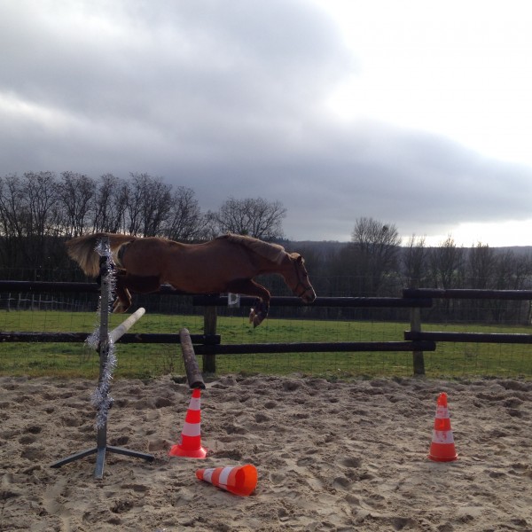 Photo de profil de jeannenollet