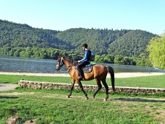 Photo de profil de jeanrustan