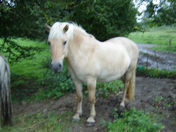 Photo de profil de jetrote