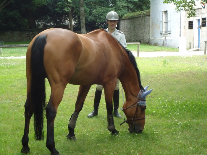 Photo de profil de jo2016