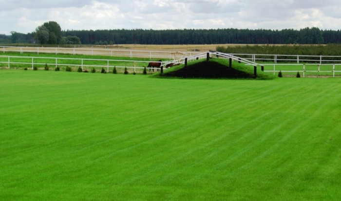 Photo de profil de jol13