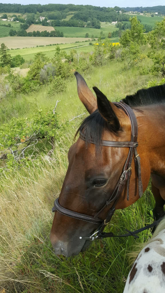 Photo de profil de joshbaudrier