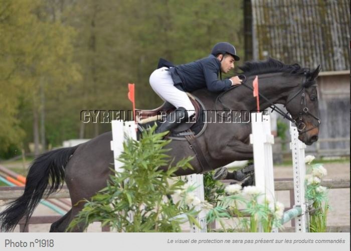 Photo de profil de ju77330