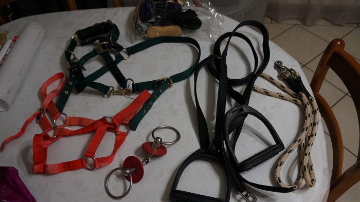 Photo de profil de judith0566