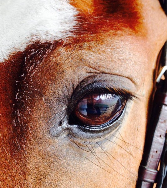 Photo de profil de juju36120