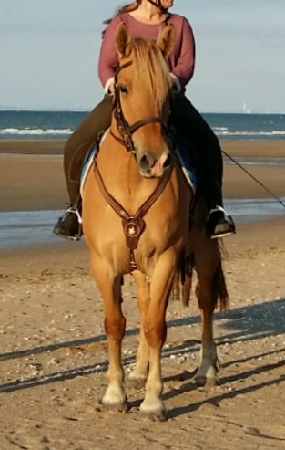 Photo de profil de jules14