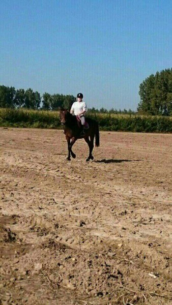 Photo de profil de julie_atoll