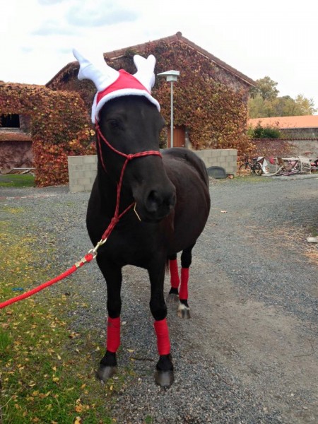 Photo de profil de juliefayard