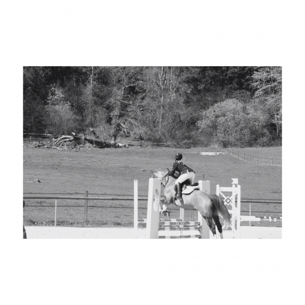 Photo de profil de julievct